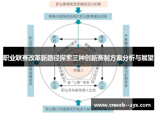 职业联赛改革新路径探索三种创新赛制方案分析与展望