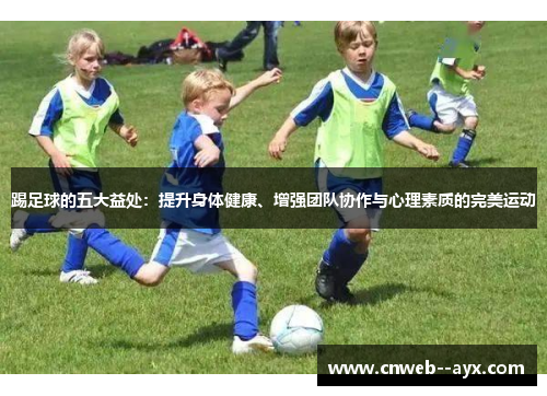 踢足球的五大益处:提升身体健康、增强团队协作与心理素质的完美运动 踢足球的五大益处:提升身体健康、增强团队协作与心理素质的完美运动