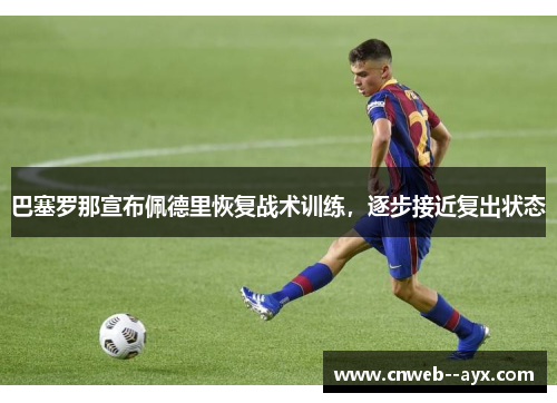 巴塞罗那宣布佩德里恢复战术训练,逐步接近复出状态 巴塞罗那宣布佩德里恢复战术训练,逐步接近复出状态